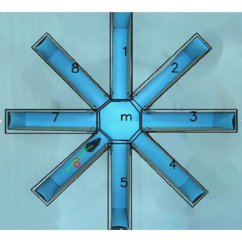 Радіальний рукав лабіринт